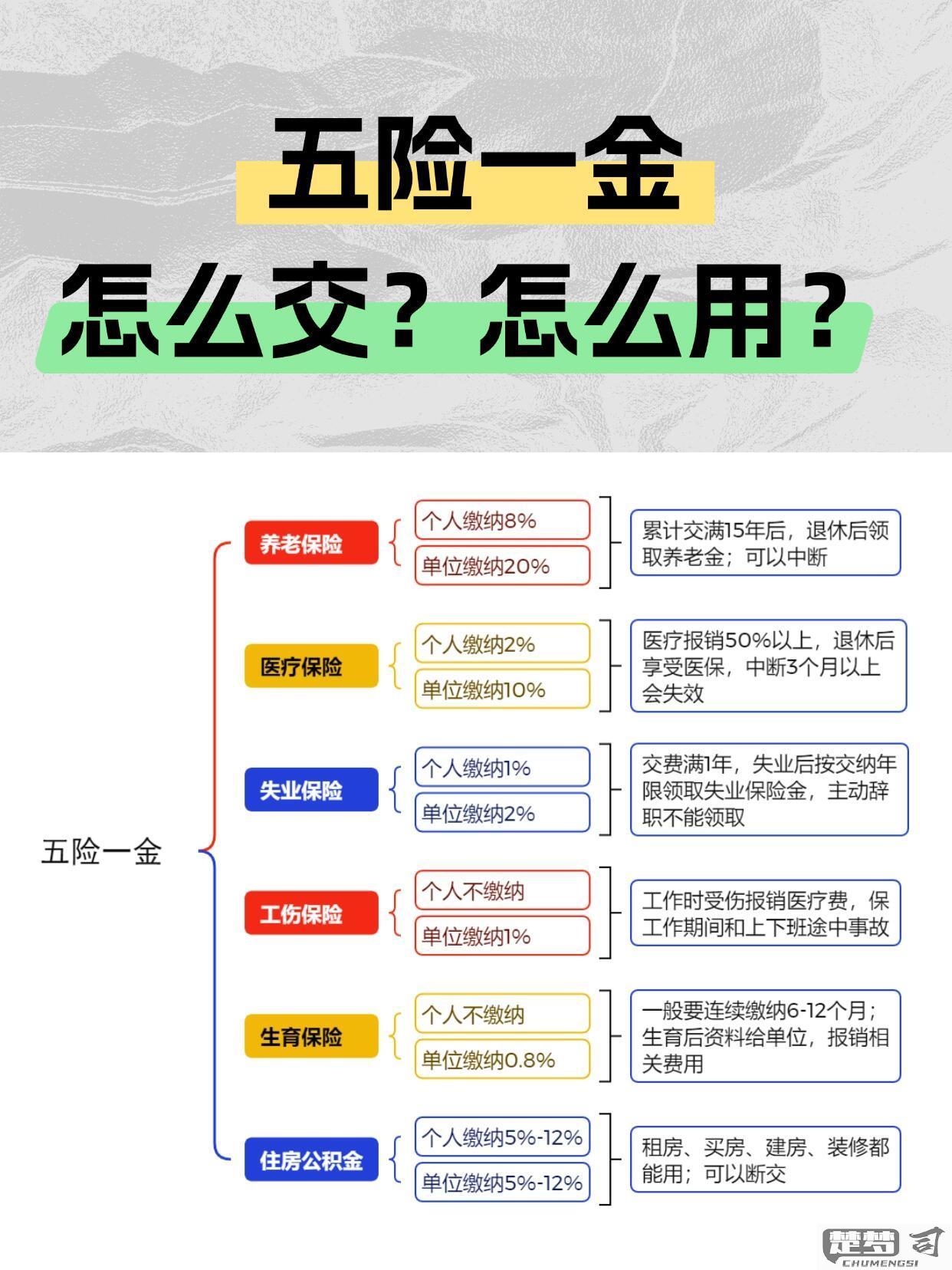个人交五险一金怎么交？完整流程与材料准备指南