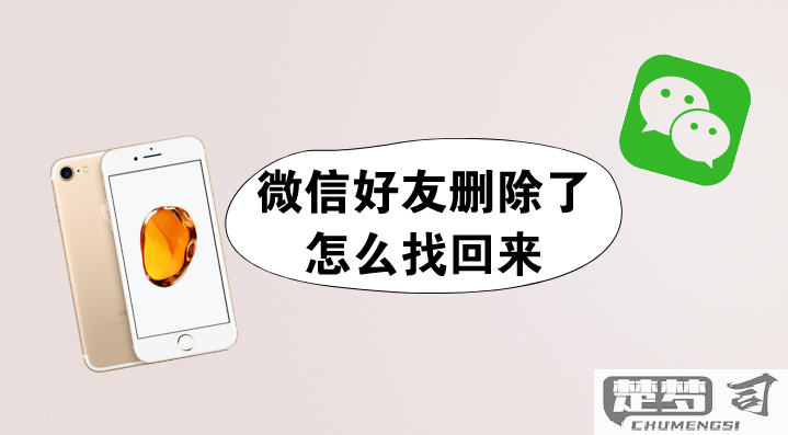 微信好友删了怎么找回？完整指南教你多种方法