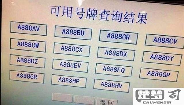 车牌号怎么查车主电话？合法途径与注意事项全解析