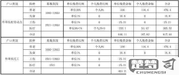 社保怎么查询缴费记录？线上和线下查询方法全解析