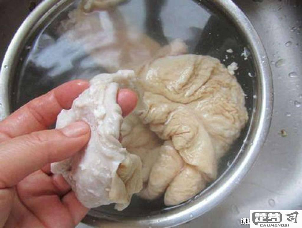 肥肠怎么洗不臭又干净？高效清洗肥肠的步骤与技巧