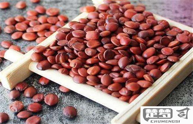 酸枣仁粉怎么吃治失眠？科学食用方法与搭配建议