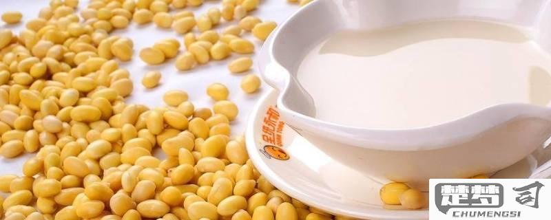 怎么判断豆浆是否熟了？观察沸腾状态、闻气味变化等关键方法