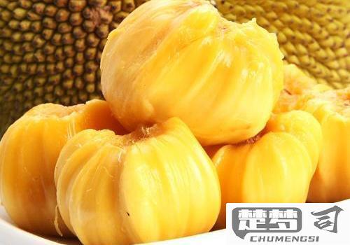 菠萝蜜吃不完怎么保存？实用方法大全