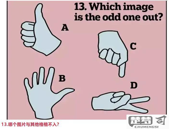 人的智商怎么测出来的？专业智商测试方法全解析