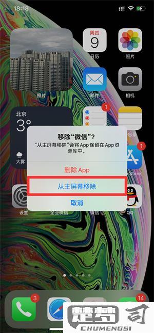 苹果手机怎么隐藏软件？详细步骤与安全性解析
