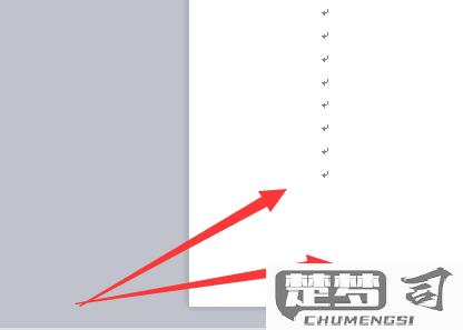 WPS怎么删除分页符？详细步骤与技巧分享