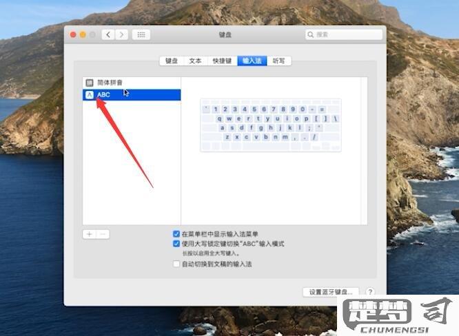 电脑输入法怎么调出来？Windows、macOS和Linux系统全攻略