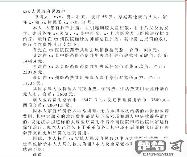 大病救助申请书怎么写？完整指南与范文示例