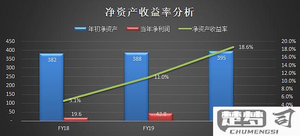 净资产收益率怎么计算及其重要性解析
