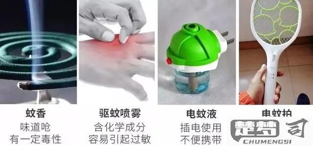 蚊子多怎么有效的驱蚊？全面解析环境、物理、化学及天然方法