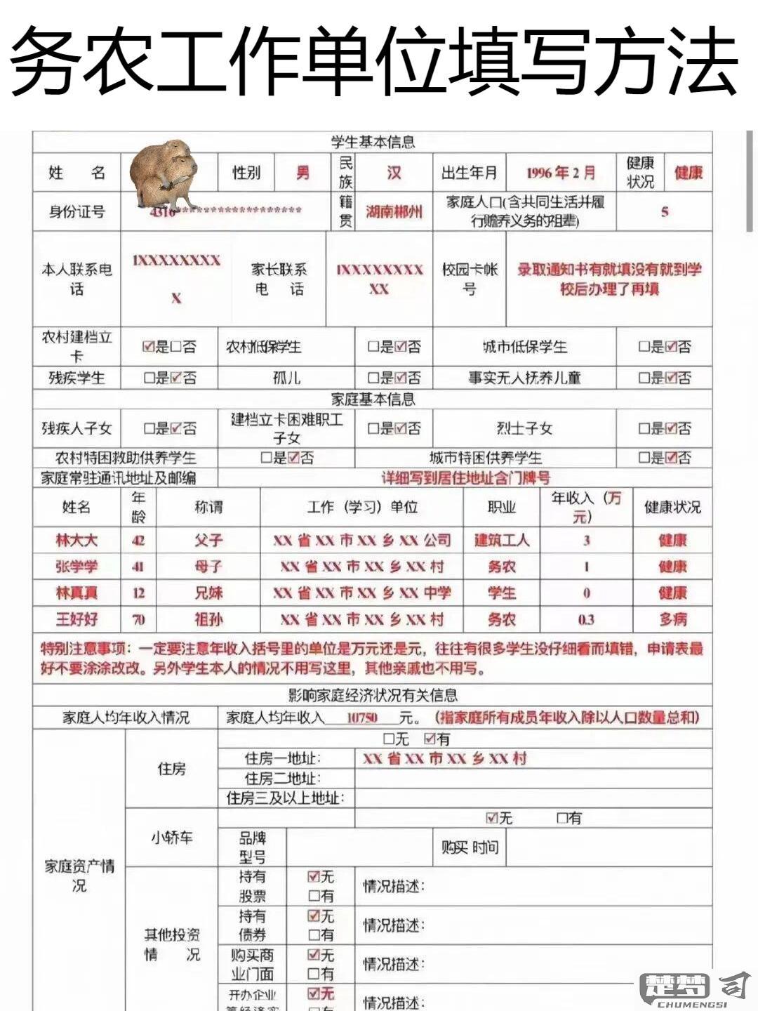 农民的工作单位怎么填？详细指南与示例