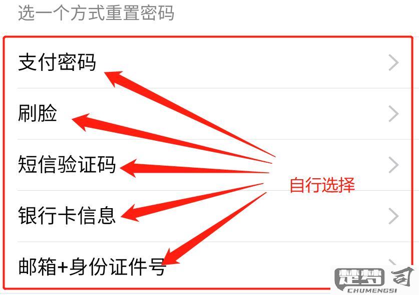 支付宝怎么改支付密码？详细步骤与注意事项