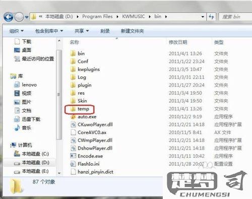 temp文件怎么打开？详细步骤和安全建议