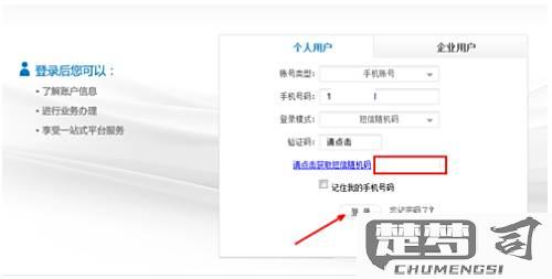 电信通话记录怎么查询？官方渠道与详细步骤指南